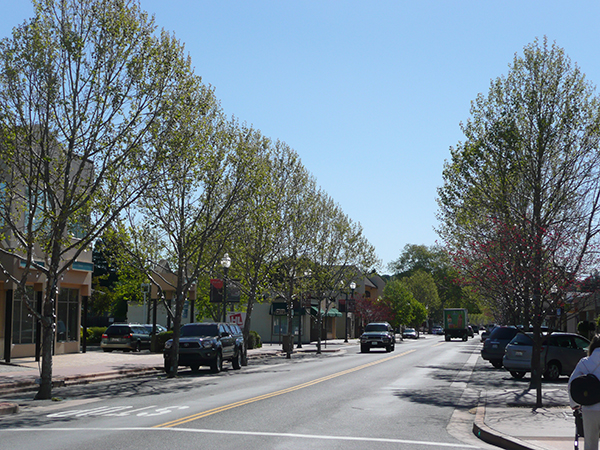 Street scene of downtown Novato with trees